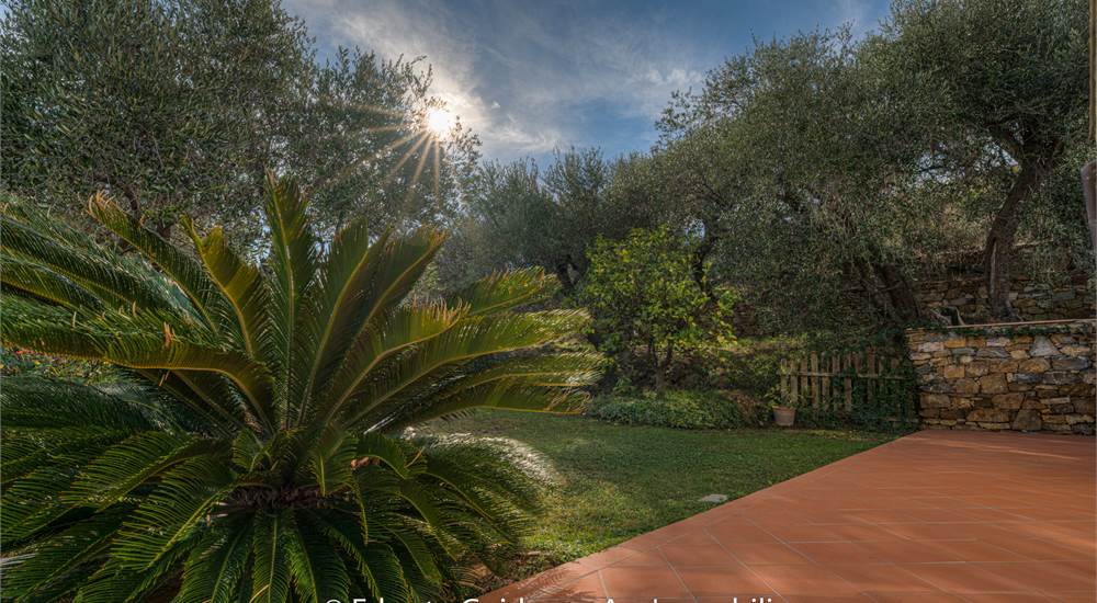 giardino