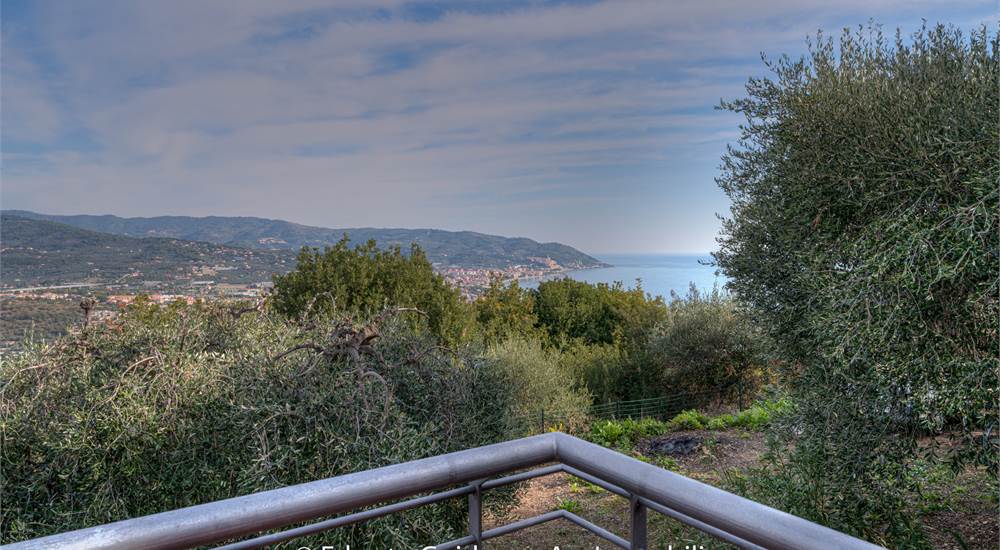vista