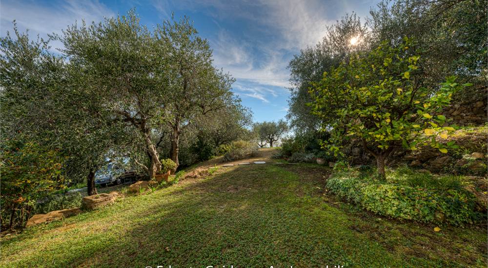 giardino