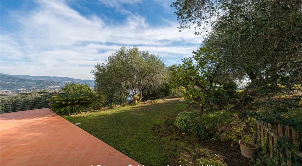 giardino